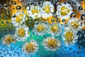 Transparent water droplets falling down against the golden blue background with yellow-white flowers. Royalty Free Stock Photo