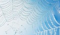 Transparent water droplets on web macro pattern with copy space
