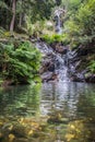 Transparent water in motion in the background waterfall das Paredes running on wet rocks, ferns and surrounding vegetation, PT