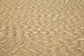 Transparent water ripple, sand waves and sunlight glare. Royalty Free Stock Photo