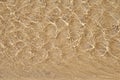 Transparent water ripple, sand waves and sunlight glare. Royalty Free Stock Photo