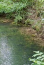 Transparent water with sediments from rich soil of the marsh