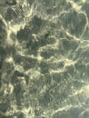 Transparent water with sun reflections.Abstract background of water. Royalty Free Stock Photo