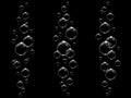 Transparent white bubbles flying in air or underwater, isolated on black background Royalty Free Stock Photo