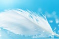 Transparent white light airy soft feather background