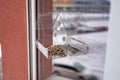 Transparent window bird feeder with seeds on winter day Royalty Free Stock Photo