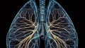 Transparent x ray shows human respiratory system anatomy generated by AI