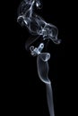 Transparented white cloud of smoke Royalty Free Stock Photo