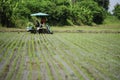 Transplant rice seedlings machine