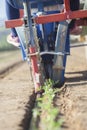 Transplanter machine injecting drip irrigation tape on ground Royalty Free Stock Photo
