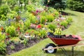 Transplanting new spring plants into the garden Royalty Free Stock Photo