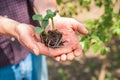 Transplanting plants illustration of procedures and tools for caring for indoor plants. Soil preparation. Care Of New Life - Water Royalty Free Stock Photo