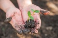 Transplanting plants illustration of procedures and tools for caring for indoor plants. Soil preparation. Care Of New Life - Water Royalty Free Stock Photo