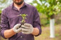 Transplanting plants illustration of procedures and tools for caring for indoor plants. Soil preparation. Care Of New Life - Water Royalty Free Stock Photo