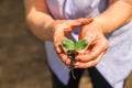 Transplanting plants illustration of procedures and tools for caring for indoor plants. Soil preparation. Care Of New Life - Water Royalty Free Stock Photo