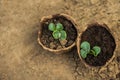 Transplanting plants illustration of procedures and tools for caring for indoor plants. Soil preparation. Care Of New Life - Water Royalty Free Stock Photo