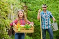 Transplanting vegetables from nursery gardening center. Plant veggies. Planting season. Family dad and daughter little