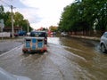 Transport animals to safety through a flooded road with car, eva