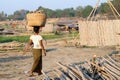 Transport of bamboo logs