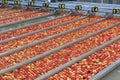 Transport of freshly harvested apples in a food factory for sale