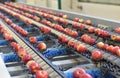 Transport of freshly harvested apples in a food factory for sale