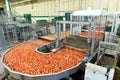 Transport of freshly harvested apples in a food factory for sale Royalty Free Stock Photo