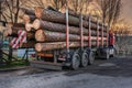 Transport of pine wood from Valsain in Segovia Spain