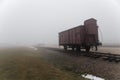 Transport Train to Auschwitz II Birkenau Concetration Camp. Railway wagon to transport people to the death camp. German