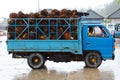 Transport of tropical fruits in Thailand