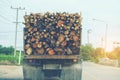 Transportation of logs on a truck on the road, Renewable energy Royalty Free Stock Photo