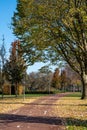 Transportation in the Netherlands, special bicycle lanes for safe cycling in Brabant in sunny autumn day