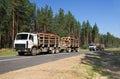 Transportation timber Royalty Free Stock Photo