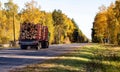 Transportation in trucks with special semi-trailers of forest logs. Transportation of timber and firewood on country roads,
