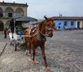 The transportations found in La Antigua Guatemala.