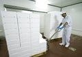 Transporting polystyrene boxes Royalty Free Stock Photo