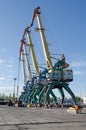 Transshipment port crane