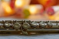 Transverse Flute Royalty Free Stock Photo