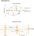 Transverse and Longitudinal Waves