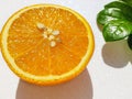 Transverse round cut of a bright juicy orange on a white background with a green zamiokulkas leaf at the back. Royalty Free Stock Photo