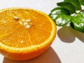 Transverse round cut of a bright juicy orange on a white background with a green zamiokulkas leaf at the back. Royalty Free Stock Photo