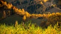 Transylvania landscape in autumn time , Romania country side