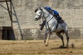 Transylvania Medieval knights tournament in Romania