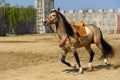 Transylvania Medieval knights tournament in Romania