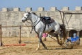 Transylvania Medieval knights tournament in Romania