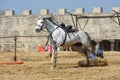 Transylvania Medieval knights tournament in Romania