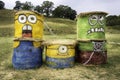 Transylvania, Romania - August 16, 2015: Minions drawn on hay bales. Action figure from Despicable Me 2 animated 3D film