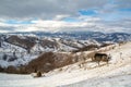 Transylvania winter in Carpathian mountains landscape of Romania Royalty Free Stock Photo