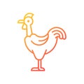 Transylvanian chicken gradient linear vector icon