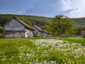 Transylvanian countryside in the spring.