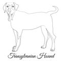 Transylvanian hound cartoon dog outline Royalty Free Stock Photo